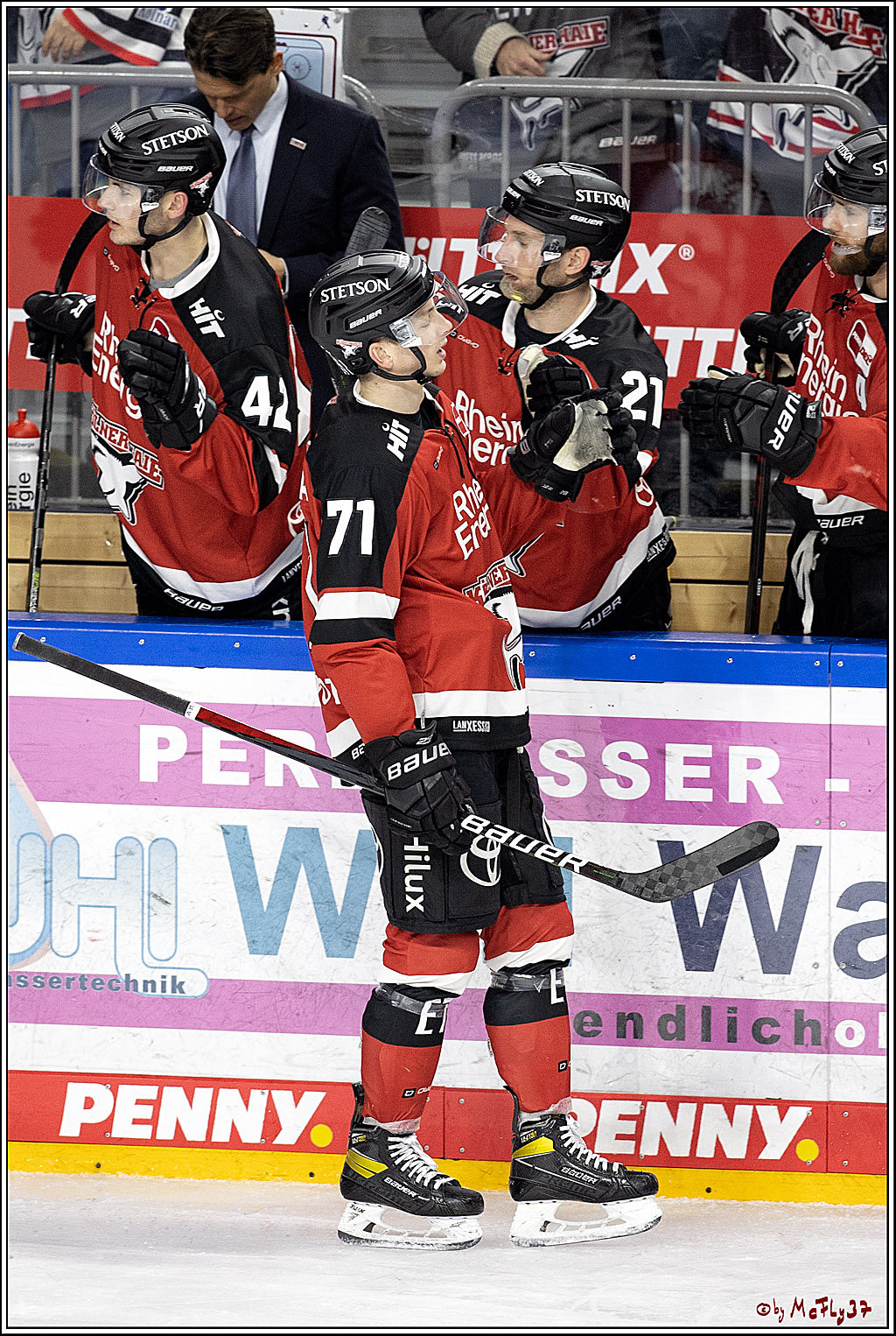 PENNY DEL;  Koelner Haie - ERC Ingolstadt; Koeln, 19.12.2021